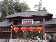 -大京沙滩