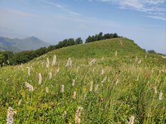 -灵山