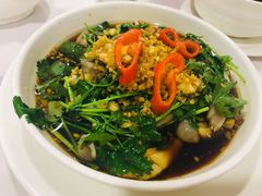 沙姜捞爽肚-宜宾海鲜酒家·三十年老字号