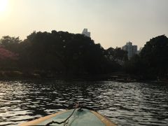 -晓港公园