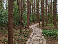 -同里国家湿地公园