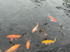 -柳侯公园