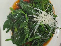 白灼田七苗-天辣(金桥啦啦宝都店)