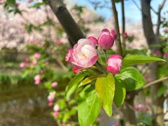 -元大都城垣遗址公园