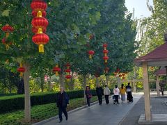 -丰台花园
