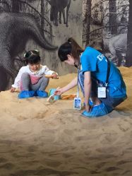 -恐龙探索乐园(磁器口店)