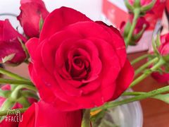 -横店电影城横影巨幕S-PLUS(港悦广场店)