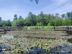 -溱湖国家湿地公园