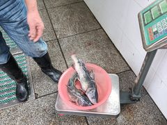 -江龙饭店·乌江豆腐鱼(乌江老桥头店)