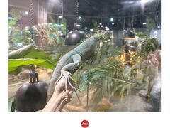 -上海大自然野生昆虫馆(东方明珠·爬宠昆虫探索中心)