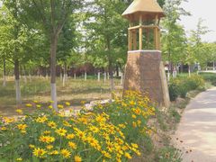 -永定河休闲森林公园