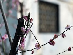 -求雨山文化公园