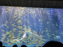 -华夏文旅海洋公园