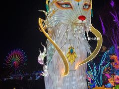 -淄博花灯齐彩城