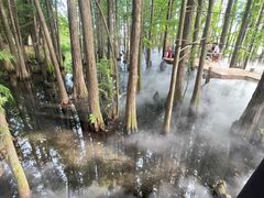 -东湖落雁景区