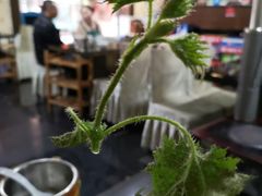 -黔府豆米火锅野菜馆(南马店)