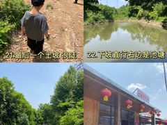 -青龙山国家森林公园