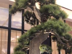 -径山十八道·风味民间菜(杭州总店)