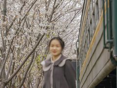 -新天地活力PARK