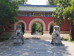 -灵谷景区
