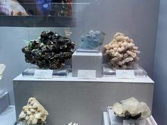 -湖南省地质博物馆