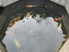 -西安市广仁寺