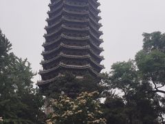 -博雅塔