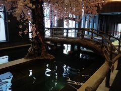 -长白山聚龙火山温泉
