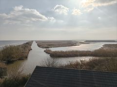 -盐城丹顶鹤湿地生态旅游区