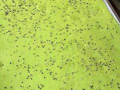 -芝兰斋糕干店(平山道店)