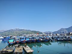 -乌记鲜活牛肉城(金砂东路店)