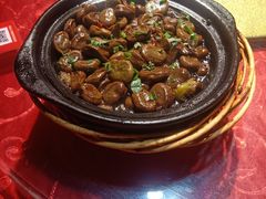 -根缘牌档(兴城路店)