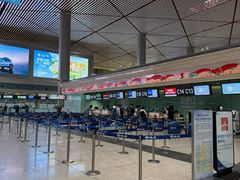 -哈尔滨太平国际机场-T2航站楼