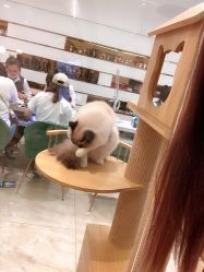 -手牵手美甲