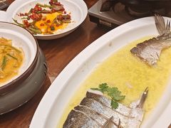 -鲁宴·鲁煨黄河生态大鲤鱼(月坛店)