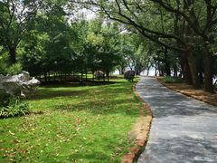 -东湖落雁景区