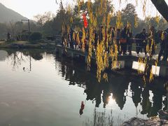 -西湖外事游船(花港观鱼码头)