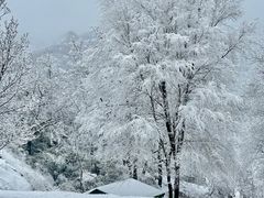 -秦岭终南山世界地质公园翠华山景区