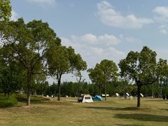 -上海长兴岛郊野公园