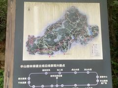 -杭州半山国家森林公园