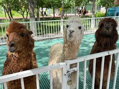 -水上乐园·欢乐世界