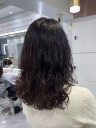 -镁连社·美联社