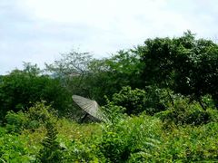 -鹤之洲湿地公园