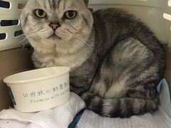 -美联众合动物医院·24h转诊中心