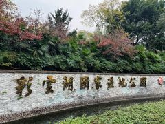 -重庆彩云湖湿地公园