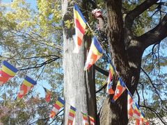 -少华山国家森林公园