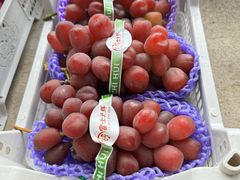 -马陆小张葡萄园农家乐