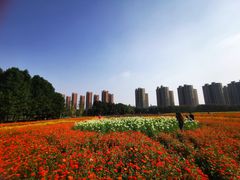 -映月湖中央公园
