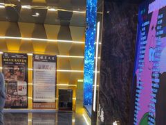 -臻享足道·HIFI影院足疗SPA(成华店)