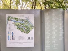 -红梅公园